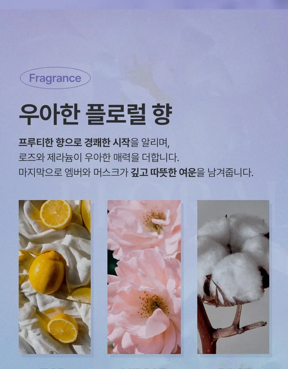 [단독기획/뿌리볼륨]달리프 글램 헤어 볼류머 기획세트 (+볼륨브러쉬 증정) 상세페이지 41